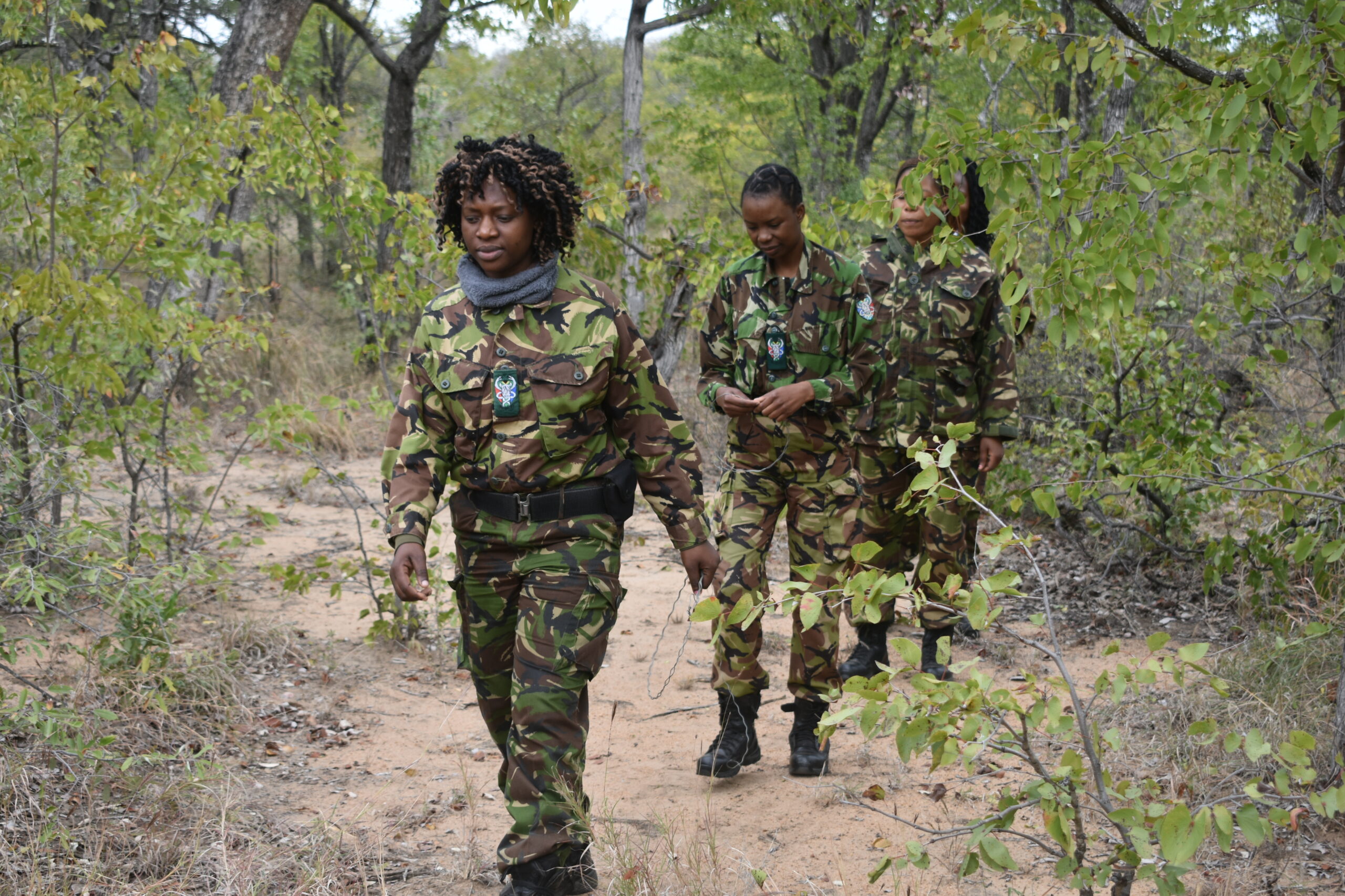 An Update From our Partners: Black Mambas