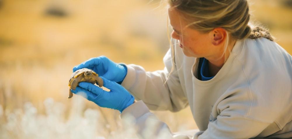 ‘Twenty-Four and Many More:            Conservation Highlights from 2024