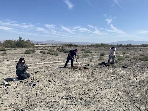 desert