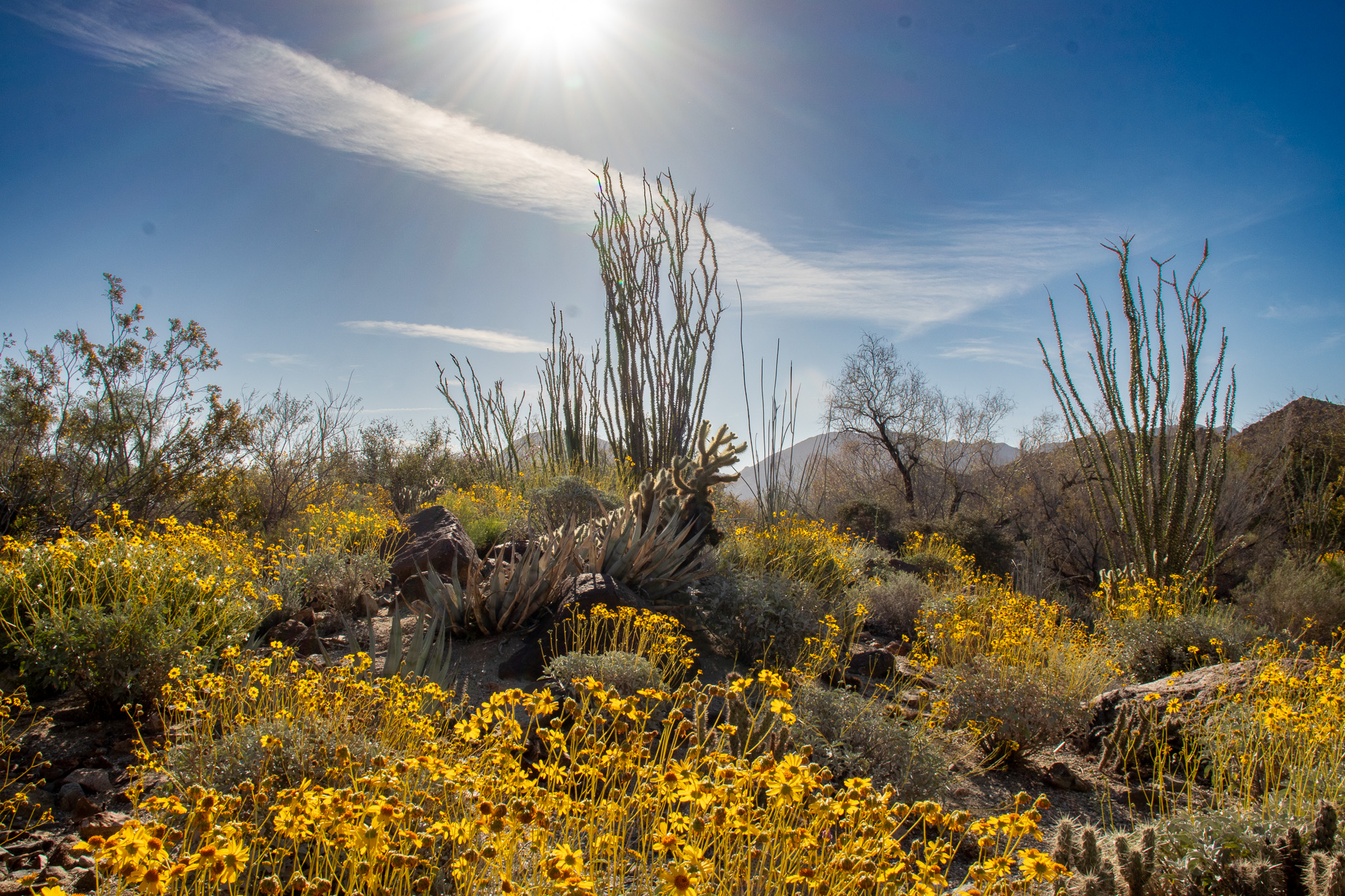 The Living Desert Supports Proposition 4