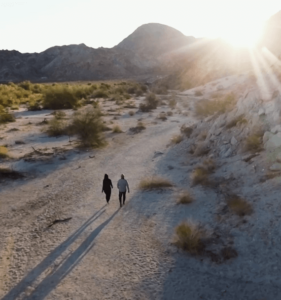 The Living Desert Conservation Team Seeks Public Input for 2024 Ohv Restoration Grant
