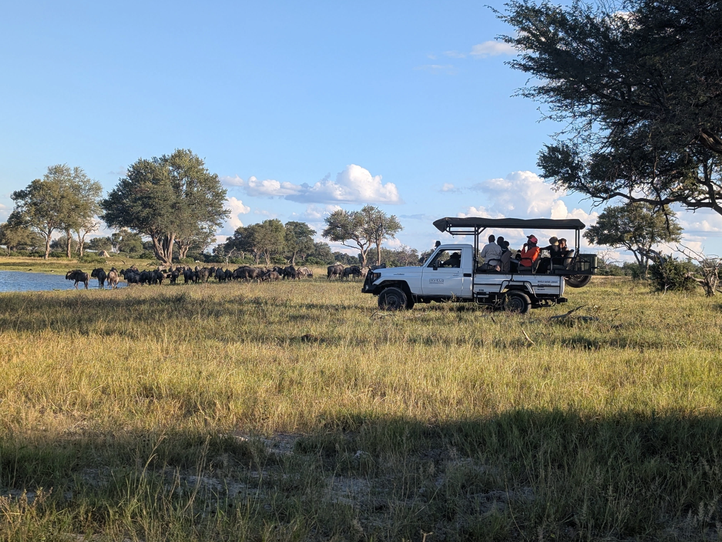 From the Coachella Valley to Zimbabwe, Our Work and Care Go Global 🦏🌍