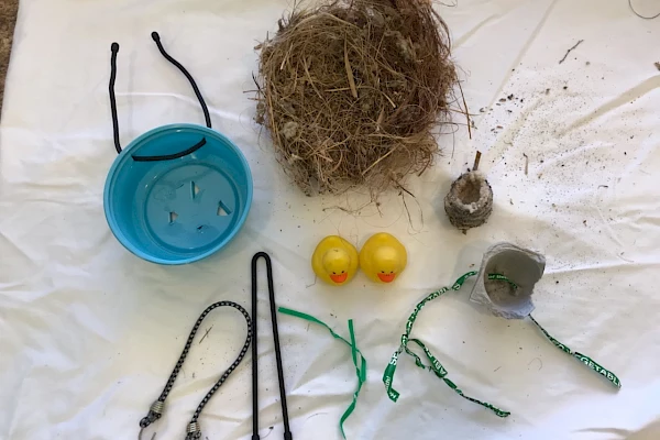 A Re-Nesting Guide