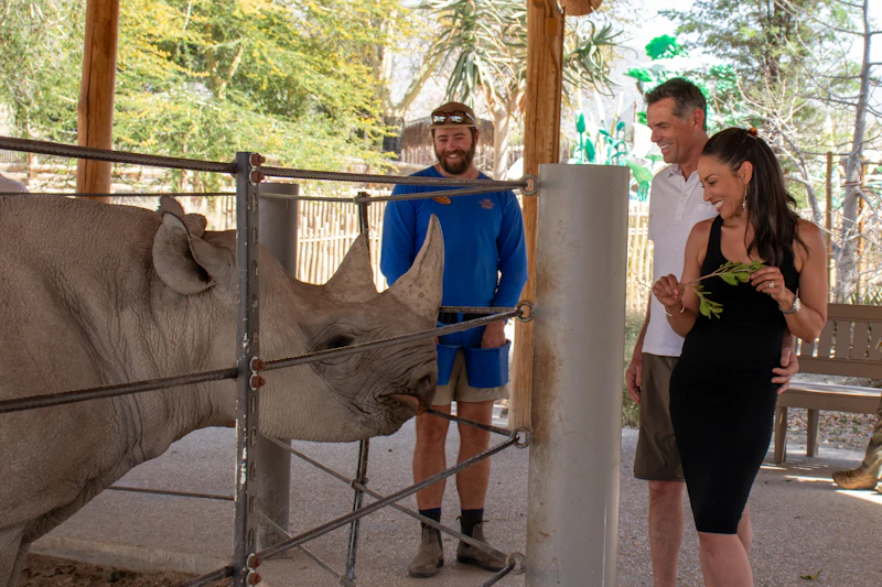 Rhino Encounter